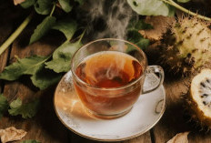Mengungkap Kekuatan Daun Sirsak Kering sebagai Obat Herbal