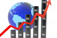 Harga Minyak Dunia Melonjak, Trump Tolak Proposal Damai Iran, Pasar Cemas Krisis Energi