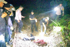 Pria Tanpa Identitas Ditabrak Kereta Api 