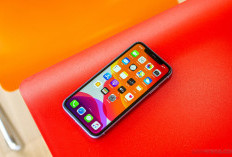 iPhone 11 Pro Max Masih Jadi Primadona di 2025, Ini Alasan Mengapa Banyak yang Tetap Meminatinya