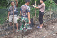 Sulap Lahan Kosong untuk Ketahanan Pangan