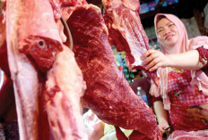 Harga Daging Sapi di Sumsel Sudah Rp160 Ribu