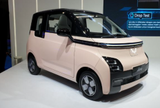 Sekali Cas Bisa 300 Km, Harga Wuling Air EV Mulai Rp184 Juta Aja! 