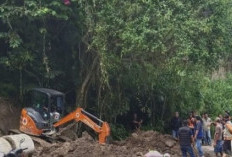 Jalur Wisata Danau Ranau Longsor, BPBD Lakukan Penanganan Darurat