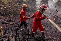 Dua Titik Api Karhutlabun Terpantau di Banyuasin