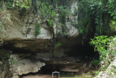 Kabupaten OKU Tawarkan Wisata Alam, Petualangan hingga Budaya yang Memikat Wisatawan