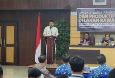 Target Menjadi Lumbung Pangan Nasional