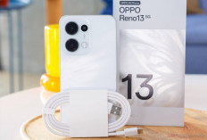 Oppo Reno 13 Series Resmi Dirilis, Tiga Varian Andalan untuk Foto, Gaming, dan Multitasking