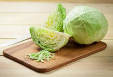 Manfaat Kubis Yang sering Dilupakan