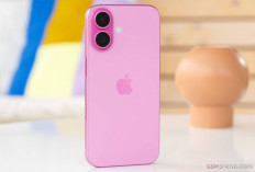 Apple Rilis Aksesoris Resmi iPhone 16, Hadirkan Warna Baru dan Dukungan Fitur Canggih