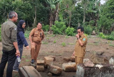 Menuju Wisata Budaya Unggulan, Candi Jepara di OKU Selatan Segera Dipugar