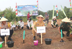 Produktivitas Kopi Bakal Ditingkatkan