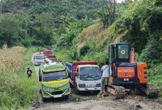 Cuaca Ekstrem, Imbau Masyarakat Waspada Saat Aktivitas di Luar Rumah