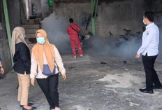 Cegah Penyebaran DBD, Lakukan Fogging