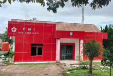 Dugaan Penyimpangan Dana Hibah di PMI Kabupaten Banyuasin Naik Penyidikan