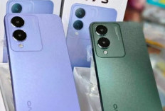 Vivo Y17s, HP Entry-Level dengan Kamera 50MP dan Baterai Awet, Harga Mulai 1 Jutaan!