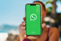 WhatsApp Hadirkan Fitur Baru yang Kreatif dan Seru