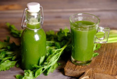 Manfaat Minum Jus Seledri di Pagi Hari untuk Tubuh
