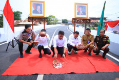 Deru Resmikan Flyover Gandus