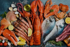 Bolehkah Penderita Kolesterol Tinggi Makan Seafood? Ini Penjelasan Lengkapnya!
