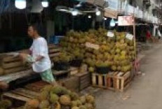 Mulai Musim Durian, Harga Rp20 Ribu hingga Rp40 ribuper Buah