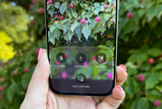 Fitur Kamera iPhone 17 Ini Bikin Kamu Bisa Rekam Diri dan Pemandangan Bersamaan!