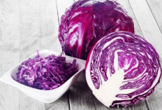 7 Alasan Mengapa Kubis Merah Harus Jadi Bagian dari Diet Sehat Anda