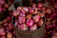 8 Khasiat Bawang Merah untuk Kesehatan Tubuh yang Perlu Diketahui