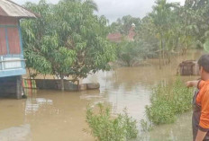 Banjir Rendam 2 Dusun