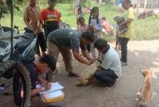 Aktif Lakukan Vaksinasi Rabies Terhadap Anjing