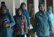 Dinkes OKU Belum Berikan Vaksin HPV Gratis ke Anak Perempuan Kelas 5 SD 