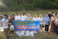 Dorong Ekonomi Desa Lewat Program Ayam Petelur dan Perikanan