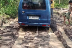 Jalan Tanjung Sari–Tunas Jaya Berlumpur, Kendaraan Terjebak hingga Harus Ditarik