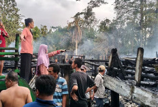 Belasan Rumah Terbakar Hebat di Banyuasin