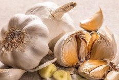 Pilihan Obat Flu Alami yang Aman untuk Ibu Menyusui