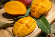 Pilihan Buah Penambah Trombosit, Bantu Tubuh Lawan DBD Lebih Cepat