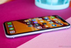 iPhone 11 Masih Layak Dibeli di 2025, Performa Oke, Harga Makin Terjangkau