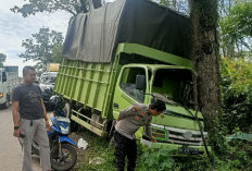 Miris, Truk Angkut Mie Alami Kecelakaan Dijarah Warga di Banyuasin