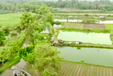 Potensi Desa Meningkat Setelah Program Penataan Akses Reforma Agraria