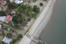 Buka Peluang Wisata Hijau