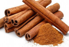 Segudang Khasiat Kayu Manis, Rempah Harum Penjaga Kesehatan Tubuh