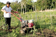 Kemiskinan Ekstrem di Sumsel Turun Drastis