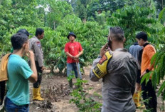 Pencarian Kernet Travel Terseret Banjir Dihentikan