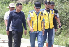 Bakal Datangkan Kapal Roro di Dermaga Srimenanti