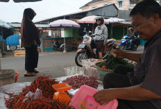 Harga Cabai Mulai Turun