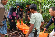 Diduga Tertangkap Mencuri Kopi, Pria di OKU Selatan Tewas Diamuk Massa 