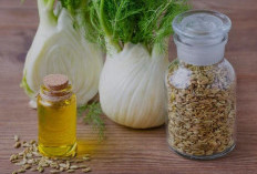 Mengenal Adas, Rempah Tradisional dengan Segudang Manfaat Kesehatan