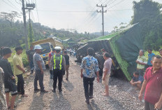 Truk Batubara Terguling, Jalan Macet Hingga 3 KM