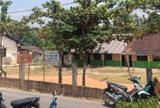 Tak Dapat Siswa, SMA Hanura Tanjung Jaya Terancam Tutup