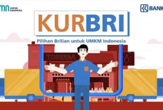 KUR BRI 2024: Solusi Terbaik untuk UMKM dengan Beragam Keuntungan Menarik